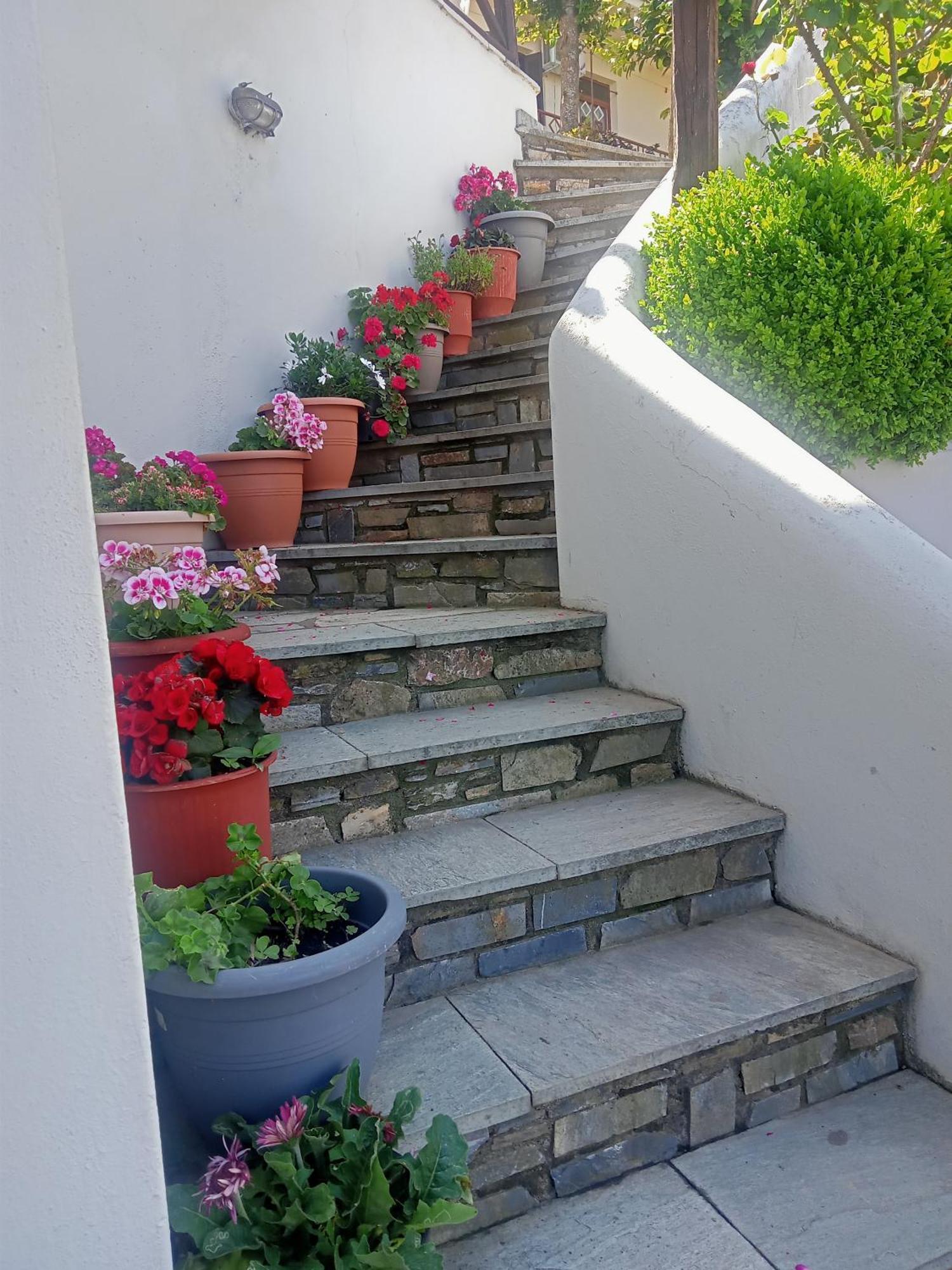 Guesthouse Kallisti Anilio Pelion Bagian luar foto