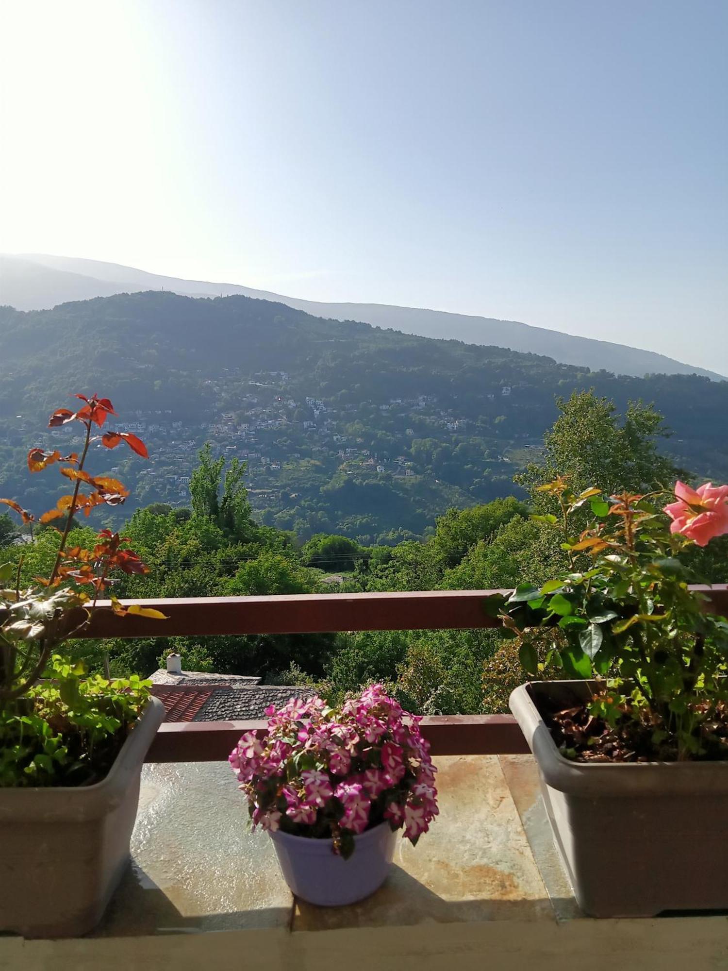 Guesthouse Kallisti Anilio Pelion Bagian luar foto